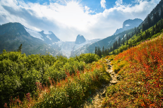 How to Heal After Living in Survival Mode